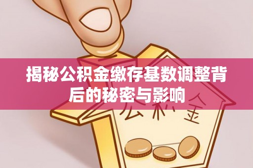 攀枝花揭秘公积金缴存基数调整背后的秘密与影响