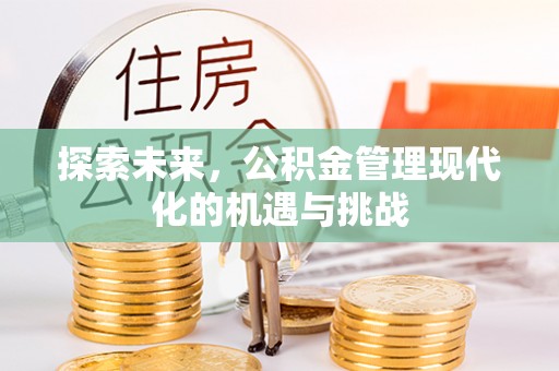 攀枝花探索未来，公积金管理现代化的机遇与挑战