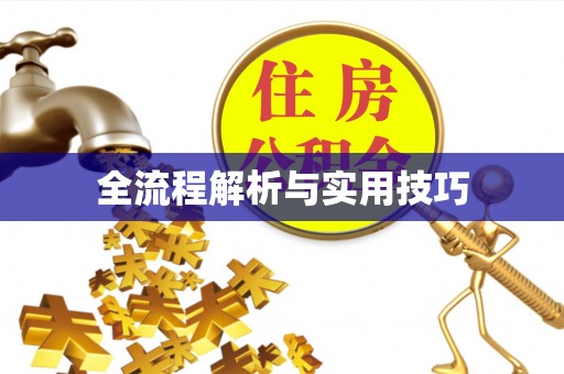 攀枝花全流程解析与实用技巧