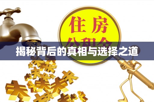 攀枝花揭秘背后的真相与选择之道