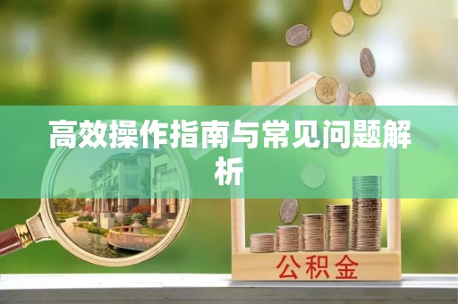 攀枝花高效操作指南与常见问题解析