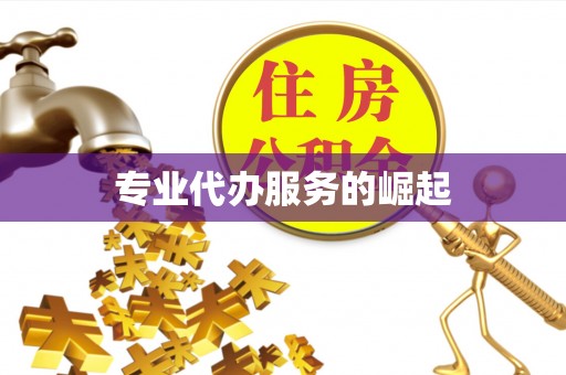 攀枝花专业代办服务的崛起