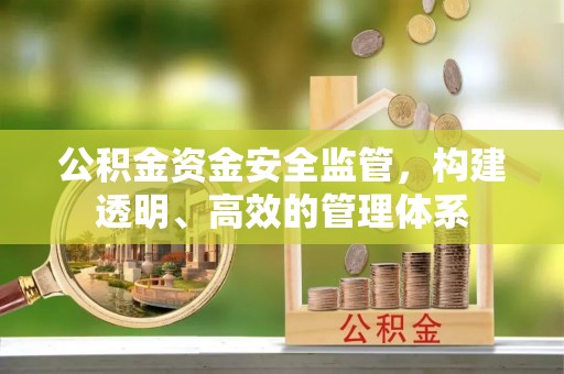 攀枝花公积金资金安全监管，构建透明、高效的管理体系