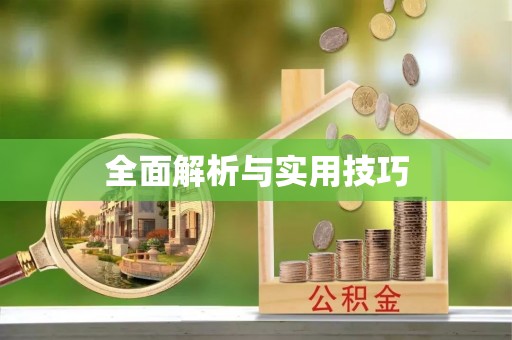 攀枝花全面解析与实用技巧