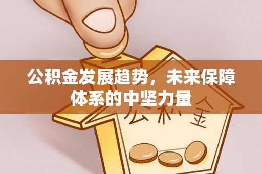 攀枝花公积金发展趋势，未来保障体系的中坚力量