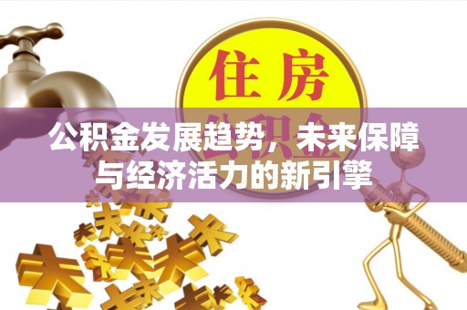 攀枝花公积金发展趋势，未来保障与经济活力的新引擎
