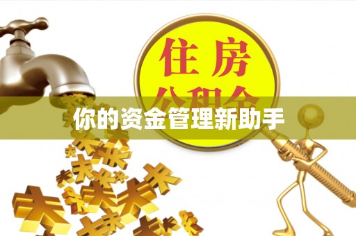 攀枝花你的资金管理新助手
