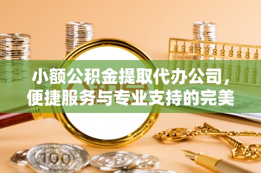 攀枝花小额公积金提取代办公司，便捷服务与专业支持的完美结合