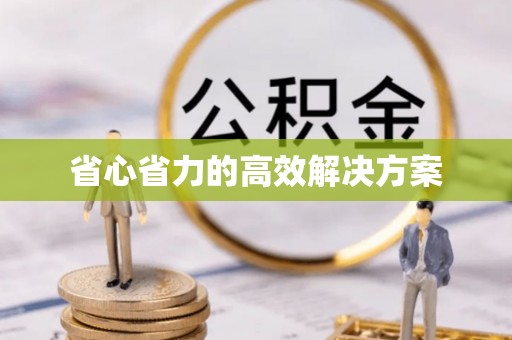 攀枝花省心省力的高效解决方案