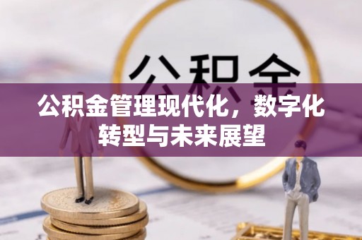 攀枝花公积金管理现代化，数字化转型与未来展望