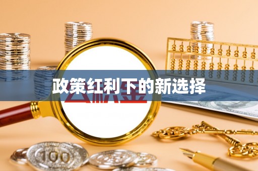 攀枝花政策红利下的新选择