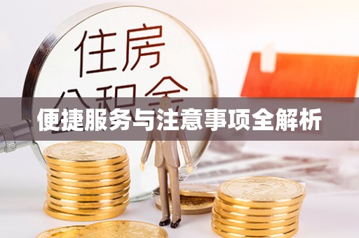 攀枝花便捷服务与注意事项全解析