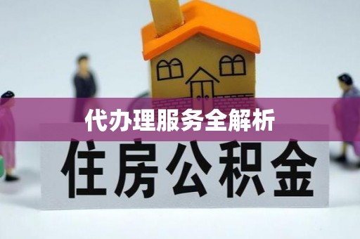 攀枝花代办理服务全解析