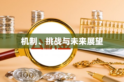 攀枝花机制、挑战与未来展望