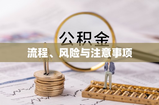 攀枝花流程、风险与注意事项