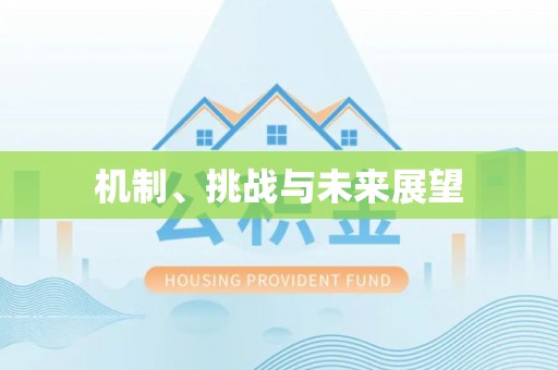 攀枝花机制、挑战与未来展望
